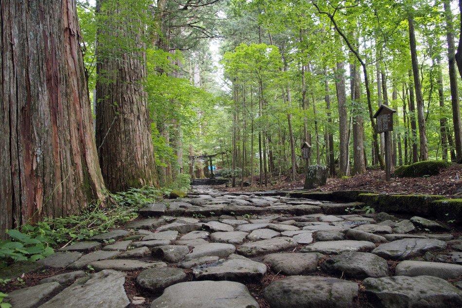 🏯 닛코산 린노지 다이유인 (닛코산 린노지 타이유인) 이미지 7